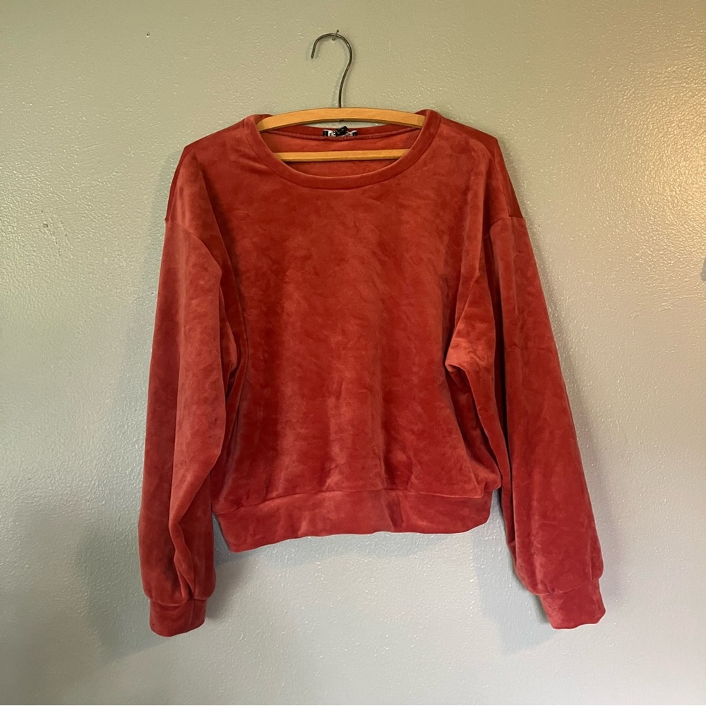 Express Brick Red Crewneck Top